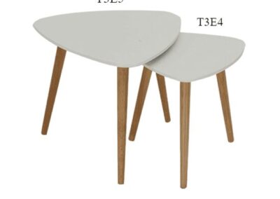 T3E4 Coffee Table